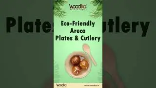 Elevate Your Dining Experience with Eco-Friendly Areca Plates and Cutlery!