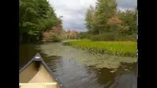 Nequasset Brook Canoe Trip in Woolwich, Maine