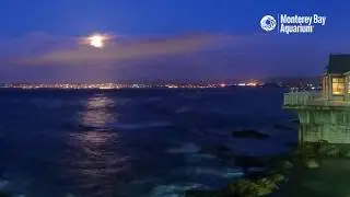 Supermoon Rising Over Monterey Bay Aquarium &mdash; April 7, 2020