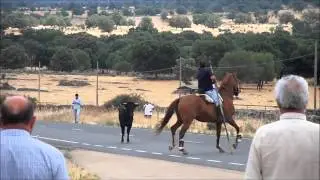 Encierro a caballo Albergueria de Argañan 2013