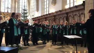 Tausend Sterne sind ein Dom, Siegfried K&ouml;hler