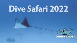 Dive Safari with GoPro HERO 10 - Red Sea (Northern Reefs  & Wrecks)