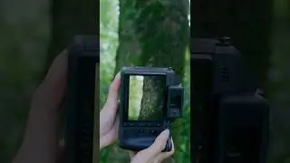100MP Macro World Through Hasselblad X2D II 100C