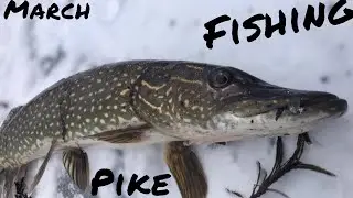 Catching MEAN Pike through the ice (Last ice fishing Adventure)