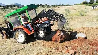 Kubota Tractor vs. Rock: Clearing the Way in Our New Olive Tree Grove!