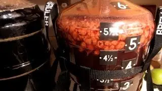 Домашний Фрамбуаз (кислый эль с малиной)