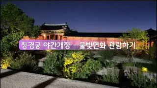 퇴근 후 서울 데이트, 창경궁 야간개장 안가면 후회하는 이유 (ft. 청계천 산책)