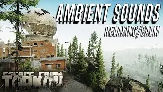 The Ambient Sounds of Tarkov