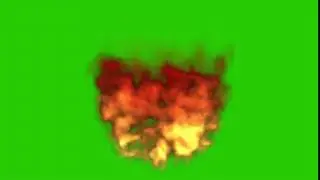 Green screen: LOL DECODER PETS