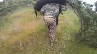 Hunt in the Aorangi Forest