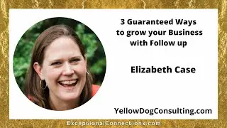 3 Guaranteed Ways to grow your Business with Follow up with Elizabeth Case