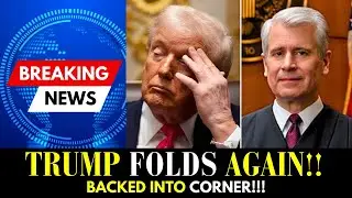 Trump PANICS in Minnesota After Chief Judge Traps Him in Courtroom Showdown