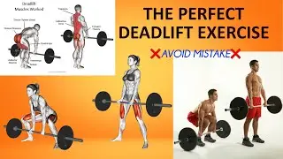 How to perform the deadlift exercise | how to do deadlift for growth | the perfect deadlift