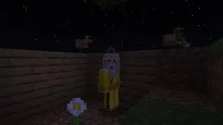Minecraft / Chicken Block By Netherpixel Part 1