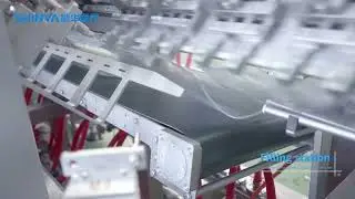 Large Volume Soft Bag Form-FIll-Seal Machine