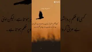 rahe Haq #watch share and follow and like comment my YouTube channel #