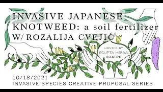 Invasive Japanese Knotweed: A Soil Fertilizer w/ Rozalija Cvejic: