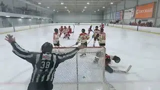 🏆 U13AA Guelph Gryphons vs. Toronto Eagles (9-5 Win | Championship Finals) @CharlieStewartTendy 