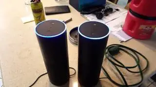 Amazon Echo Infinite Chuck Norris Loop