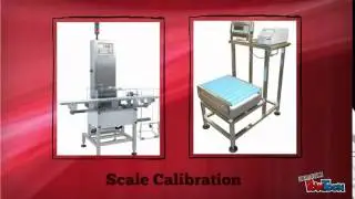 ATEX Scales