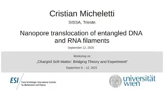 Cristian Micheletti - Nanopore translocation of entangled DNA and RNA filaments