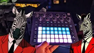 Better don't miss the BEST Zebra related Jam YOU heard today !!