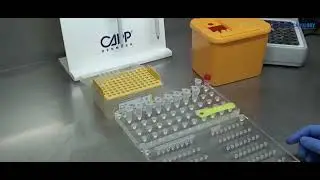 SARS-CoV-2/SARS-CoV Multiplex REAL-TIME PCR Detection Kit