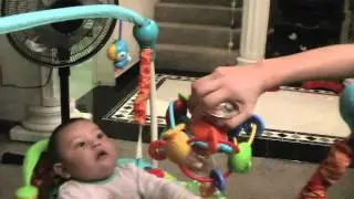 Lex's Bouncy Chair June 2011