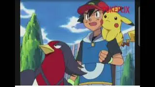 67 pokemon lo predicto !!