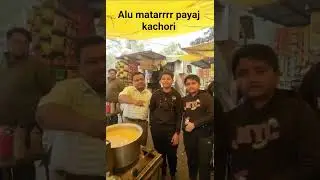 alu matarr payas kachori jaipur