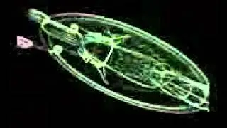 10 Ways the World Will End: Invasion of the Grey Goo - National Geographic Documentary