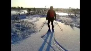 Bog ice skating @ Endla bog, Estonia