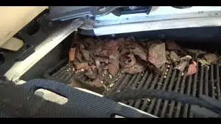 Cómo cambiar el filtro del polen o del habitáculo del VW New Beetle 1.9 TDI.