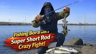 Fishing Bora with a Super Short Rod – Crazy Fight!