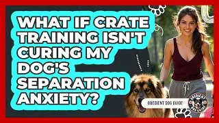 What If Crate Training Isn't Curing My Dog's Separation Anxiety? - Obedient Dog Guide