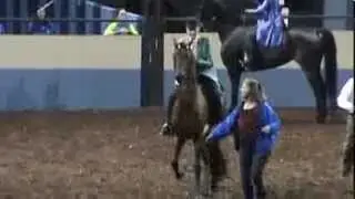 Harriet Goodpaster - World Championship English Pleasure Amateur Masters - Nationals 2013 Award