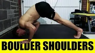 The BEST Beginner Bodyweight Shoulder Exercise
