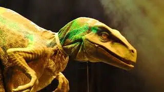 Dinosaur Show live!!