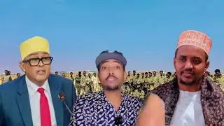 Itobiya iyo jabuuti oo fara galin ku haya degmada seylac