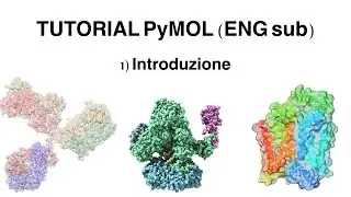 Tutorial PyMOL: Introduzione e caricamento della molecola (ENG sub)