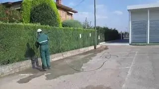 Pulizia muretto recinzione, che fare? 6