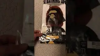 Bape x MCM