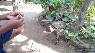 MISSION A HEN KILLED|| FROM ADIVASI PILA||