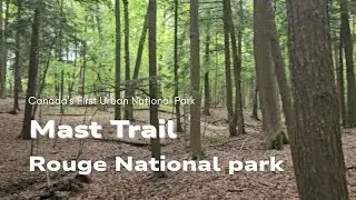 Rouge Urban National Park: Mast Trail Hike