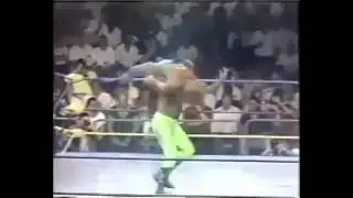 Emerald City Twister