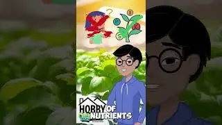 Hydroponics Growing System 🌼 Meet the Hobby Cultivator for Home Grows! 🌿