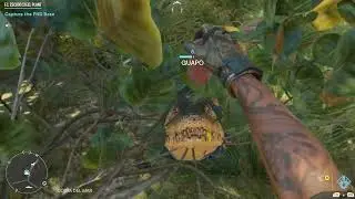 Guapo is Down How to Make Crocodile Self Revive COMPLETE REPTILE METABOLISM Challenge Far Cry 6 Walk