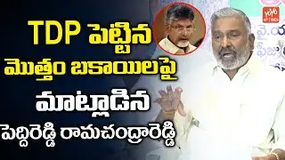 AP Panchayat Minister Peddireddy Ramachandra Reddy TDP Pending Bills | YCP | AP News | YOYO AP TIMES