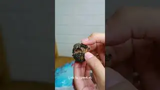 Naraball cokelatnya lumer banget #racunshopee #review #racunshopeemurah #camilanviral #viral #coklat