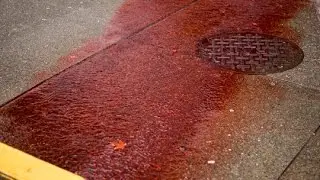 Is the Silver Bloodbath Over?